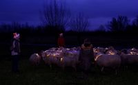 2019-12-21 Sheeplightning (2)1577129674316